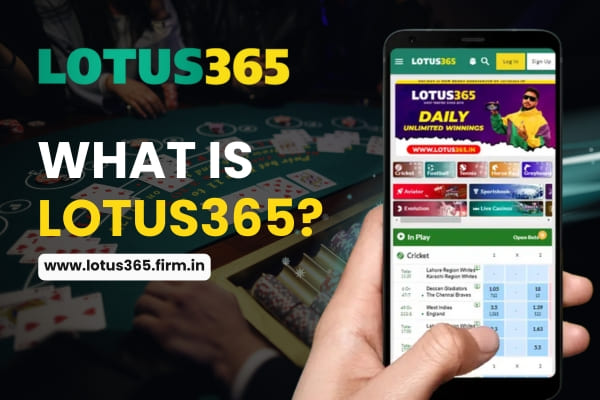 What is Lotus365 – A Leading Online Betting Platform | Lotus365