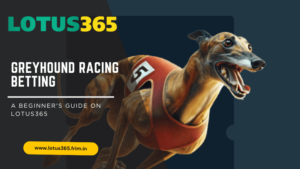 Read more about the article Greyhound Racing Betting: A Beginner’s Guide on Lotus365
